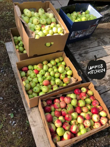 appel