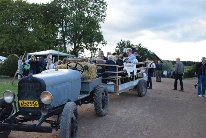 a ford1