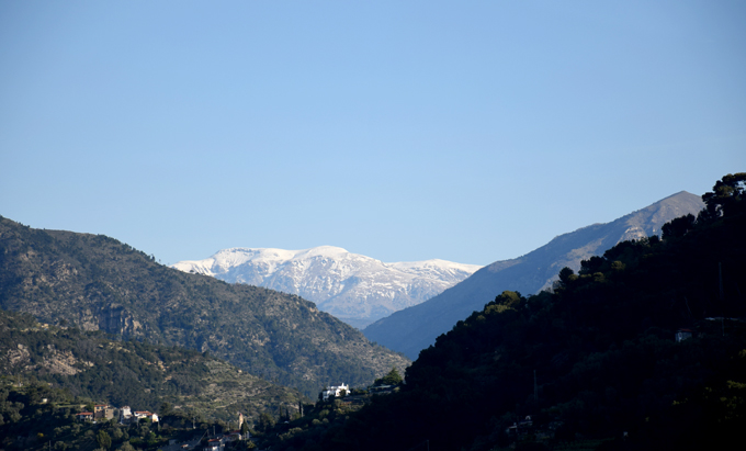 alperna
