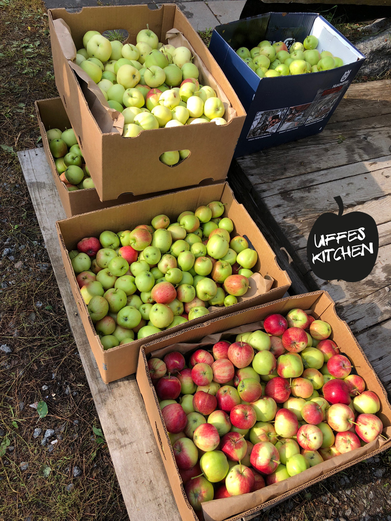 appel