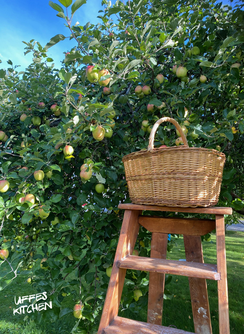 appelplock