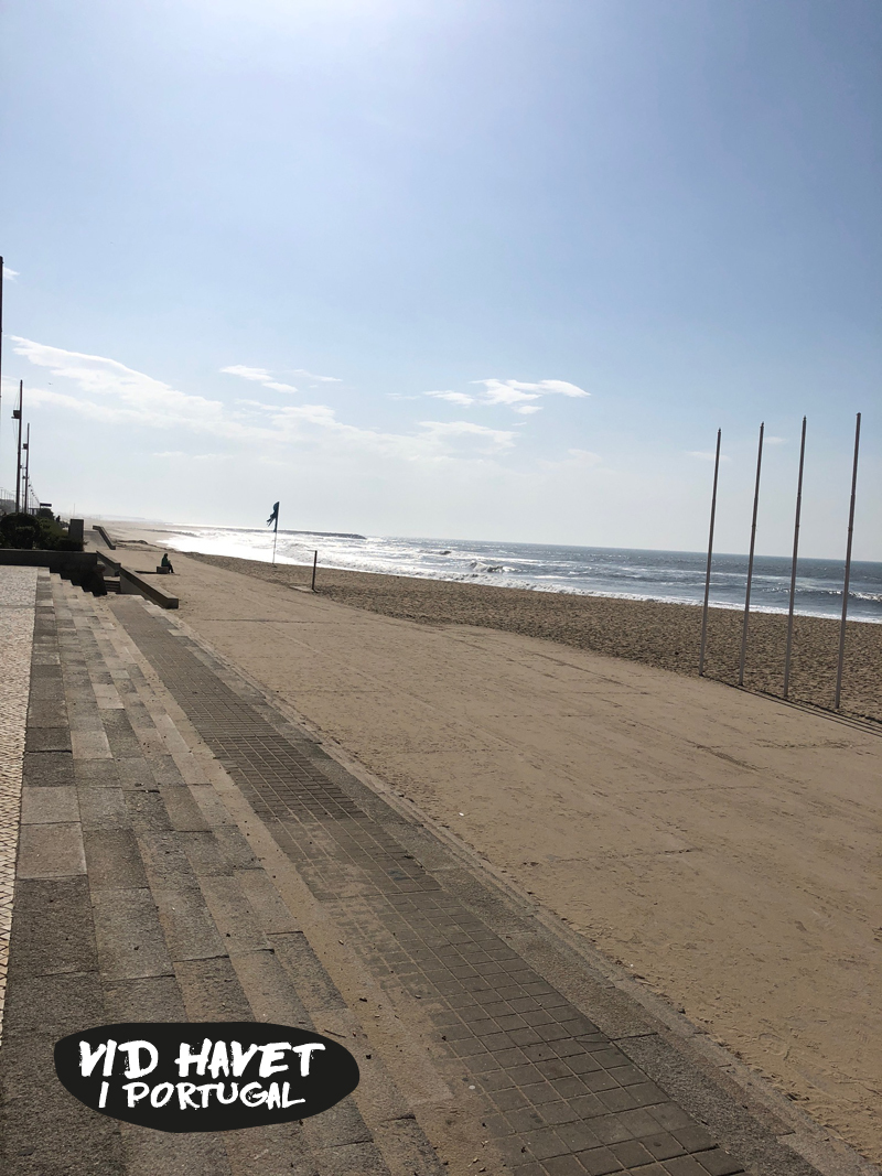 beach2