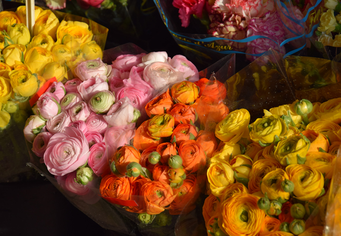 blomma