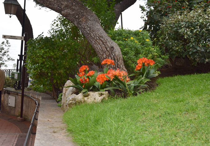 blommor2