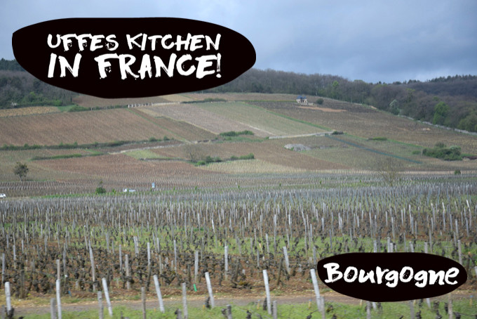 bourgognevin