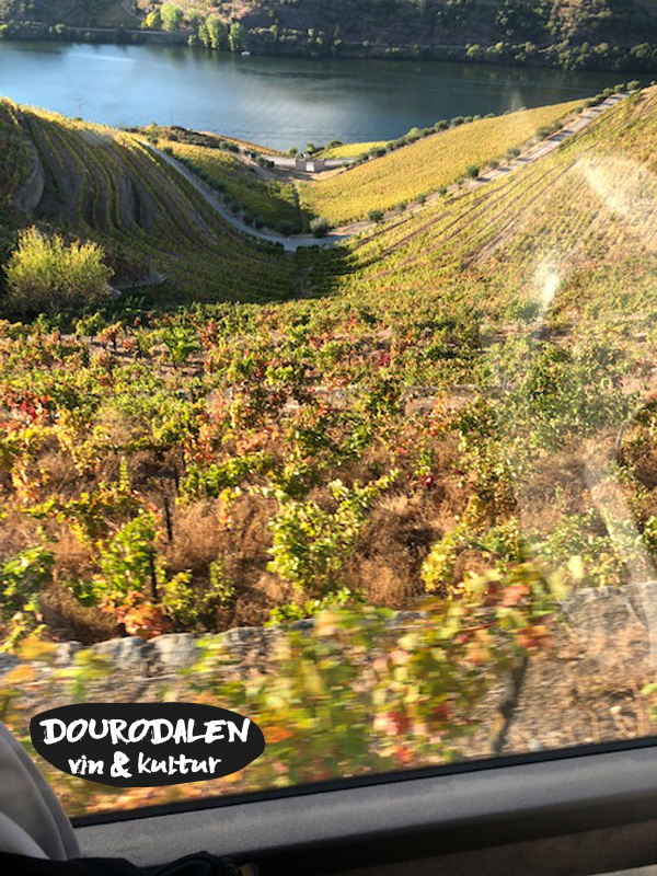 dourokullar