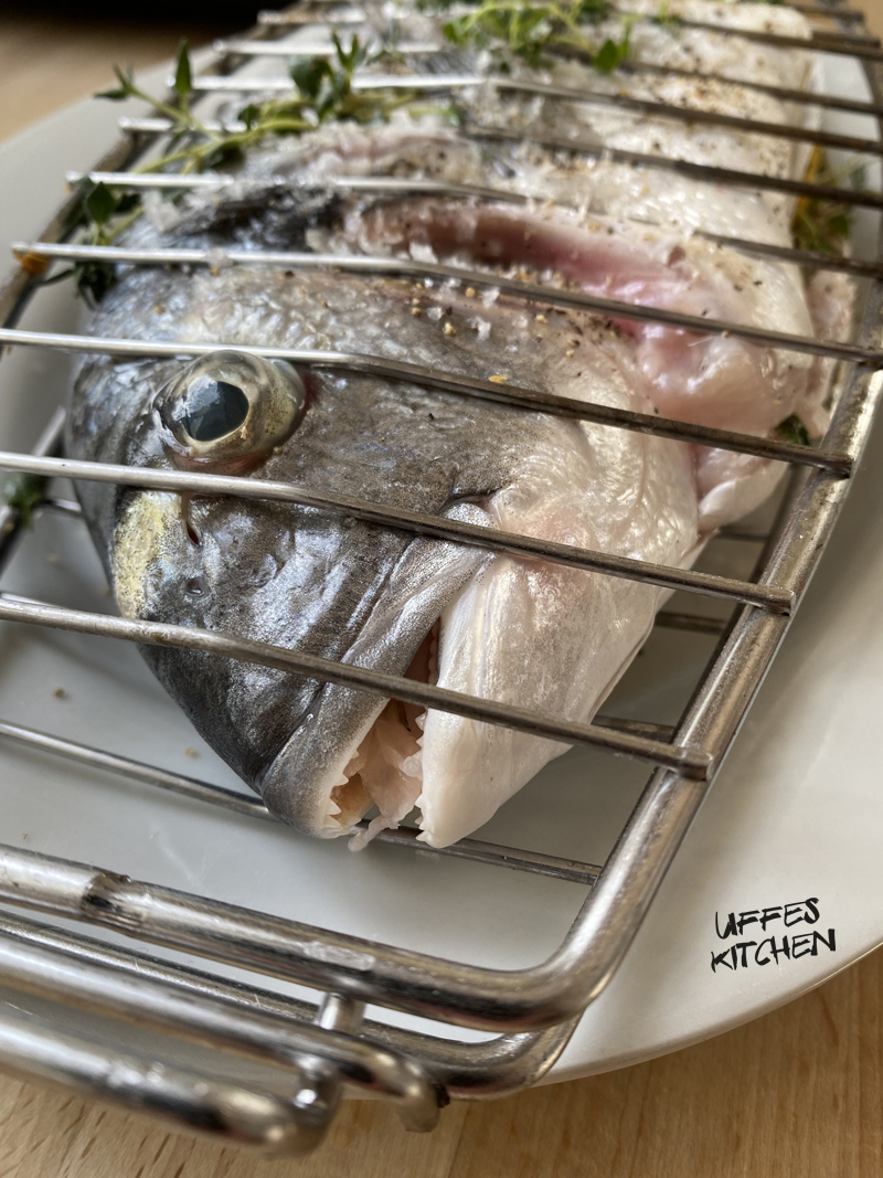 fiskigaller