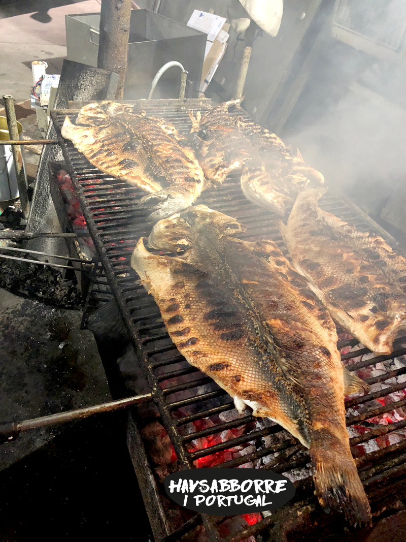 grill1