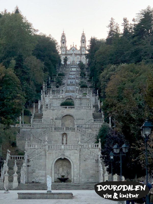 kyrkani Lamego