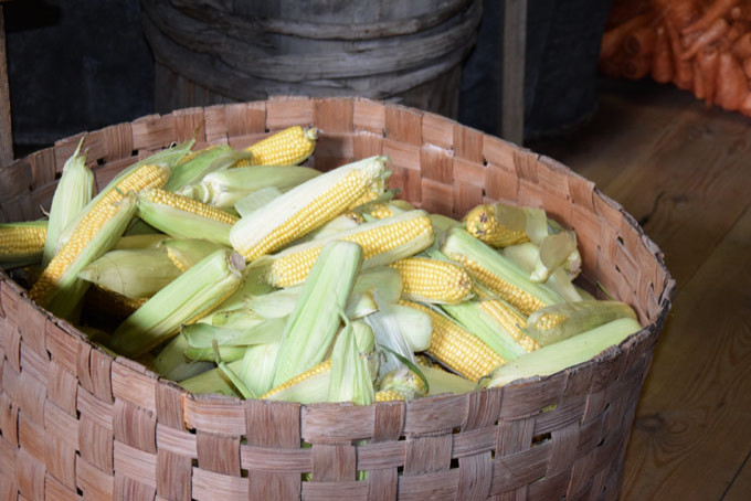 majs