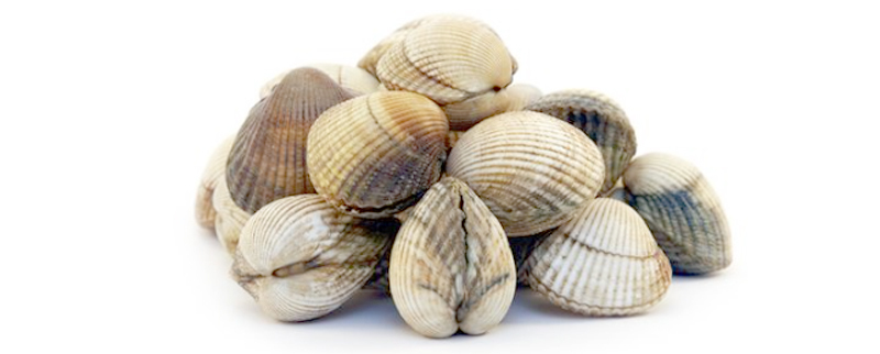 musslor21