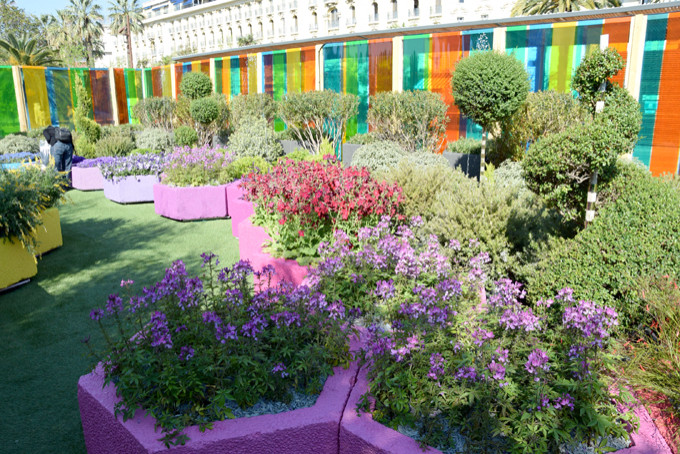 parkblommor