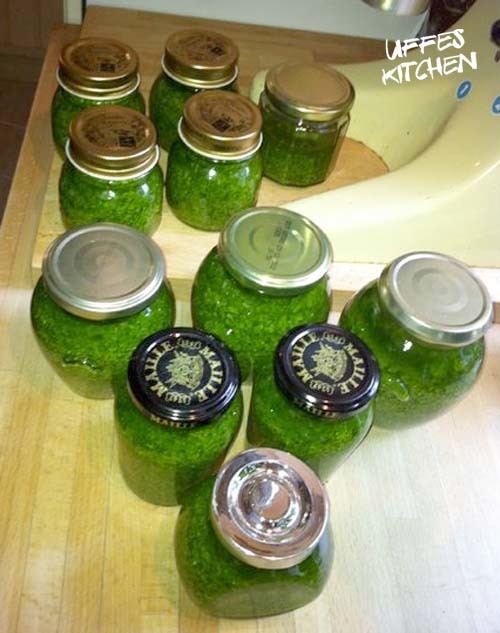 pesto