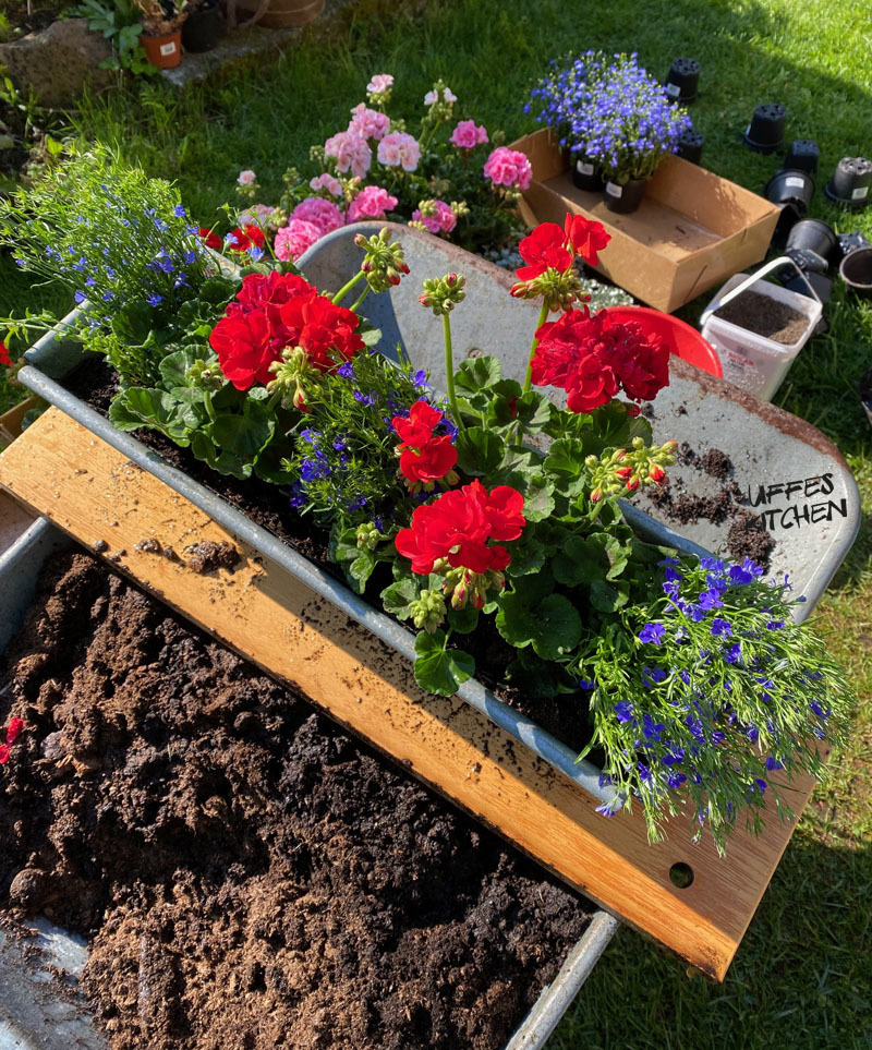 plantering2