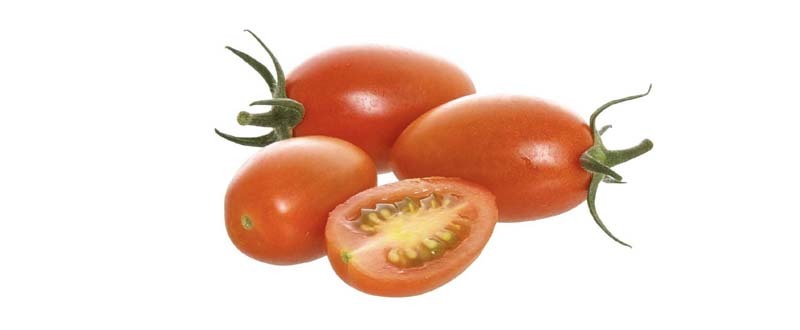 plommon tomat