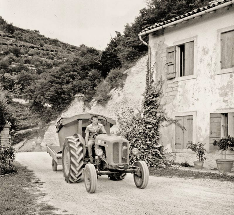 provolo traktor