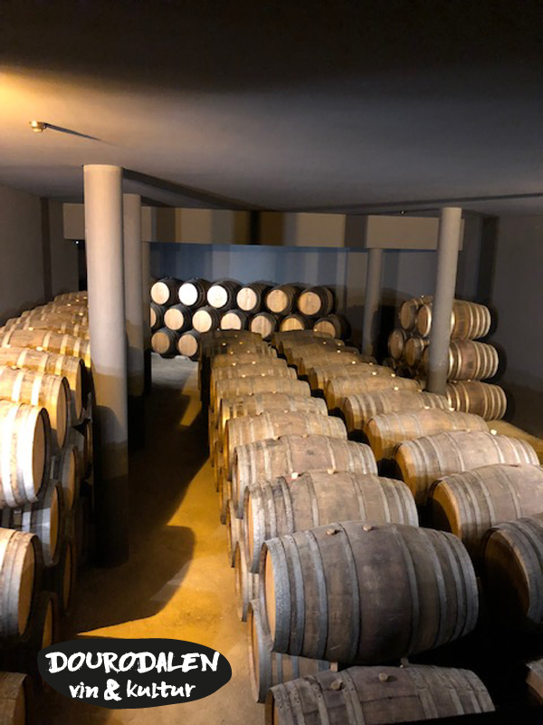 sandeman lager