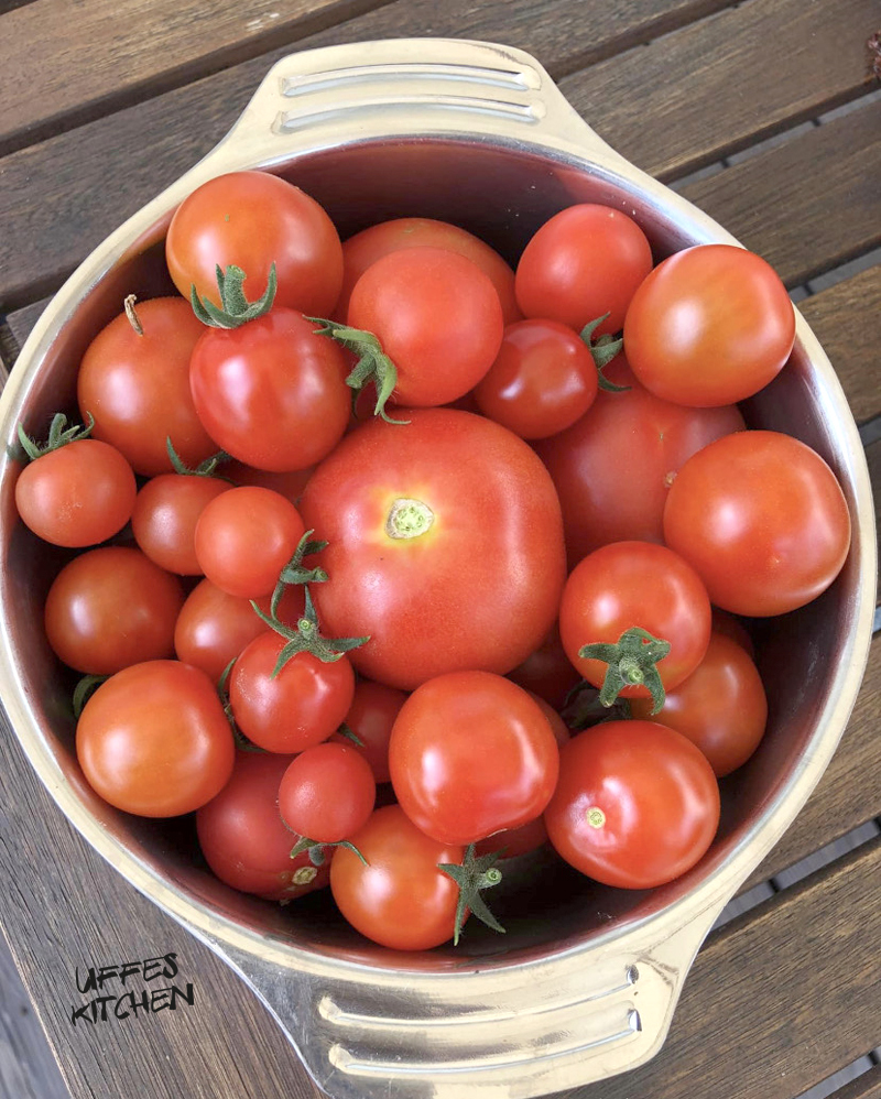 tomatskal