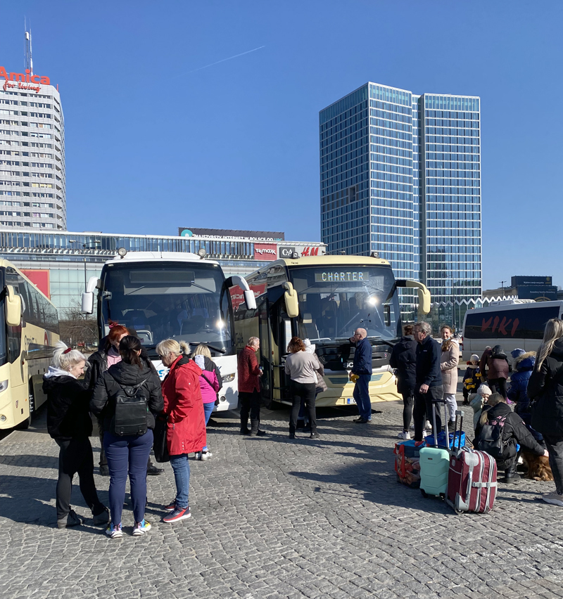 torgsamling