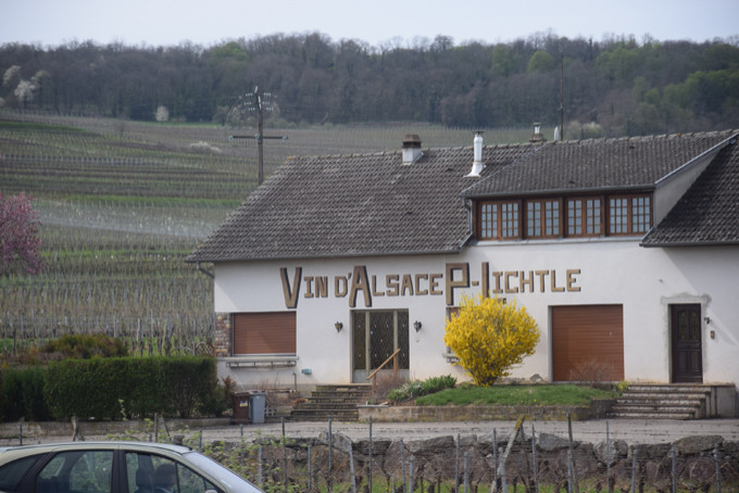 vingard