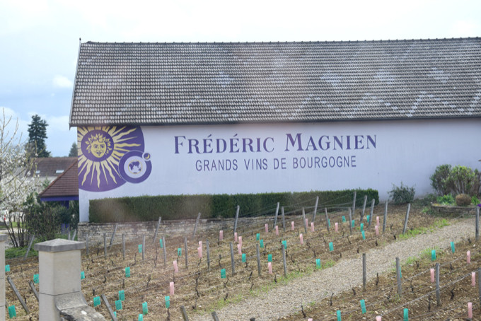 vintillverkning